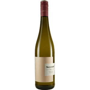 2023 Spätburgunder trocken 0,75l