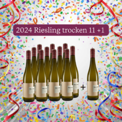 Weingut Meyerhof 11+1 Riesling Bio trocken &bull; Bio
