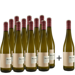 Weingut Meyerhof 11+1 Kerner Bio feinfruchtig • Bio