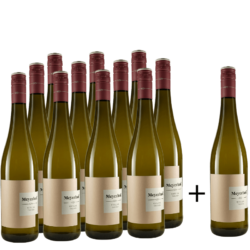 Weingut Meyerhof 11+1 Riesling Bio trocken • Bio