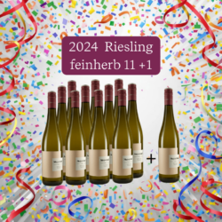 Weingut Meyerhof 11+1 Riesling Bio feinherb &bull; Bio