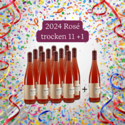 Weingut Meyerhof 11+1 Cuvée Rosé Bio trocken &bull; Bio
