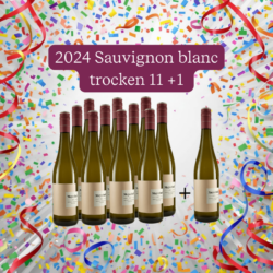 Weingut Meyerhof 11+1 Sauvignon blanc Bio trocken