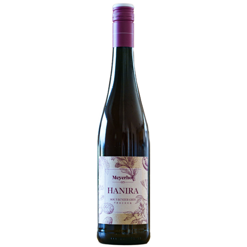 2025 HANIRA Souvignier Gris